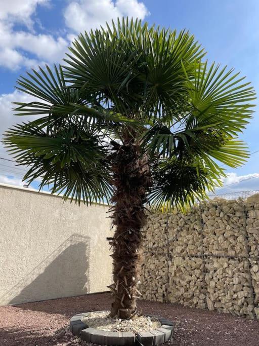 5 Min Airport Aeroport - Shuttle Navette - Parking Apartment Bonlier Luaran gambar